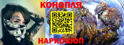 стаф Тула