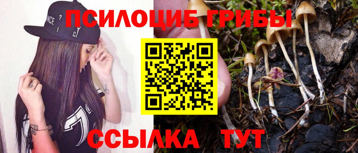 Галлюциногенные грибы Magic Shrooms Алатырь