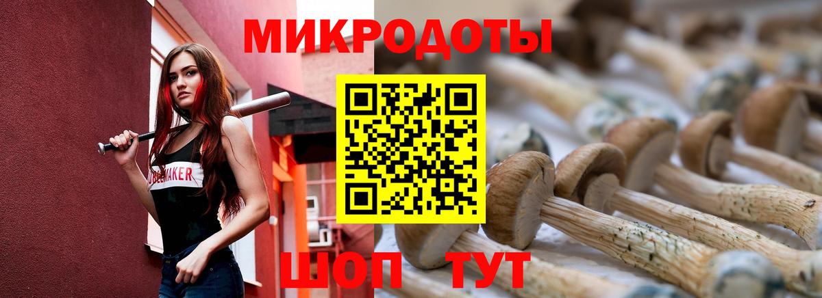 Галлюциногенные грибы прущие грибы  Псилоцибиновые грибы Cubensis  Алатырь  Вход с VPN 
